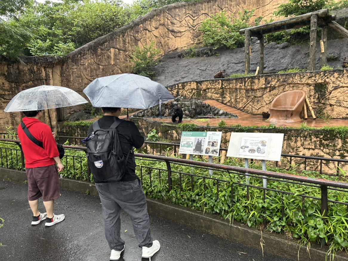 画像のタイトル