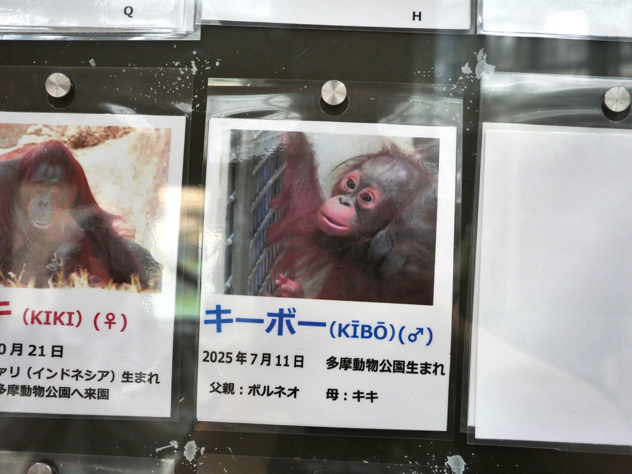 画像のタイトル