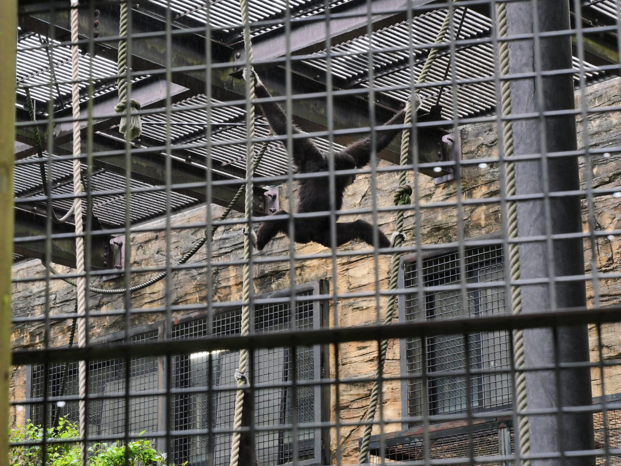 画像のタイトル