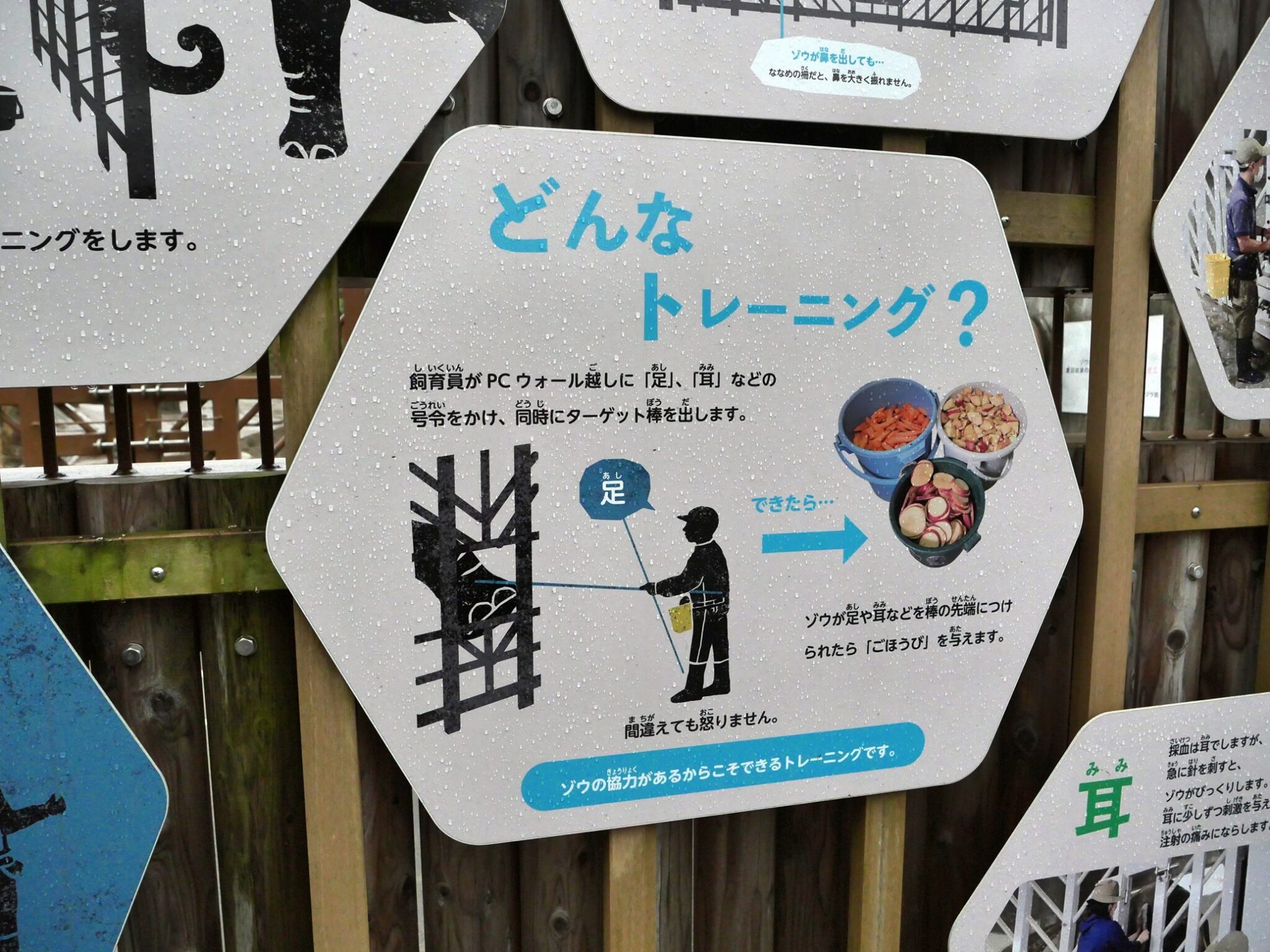 画像のタイトル