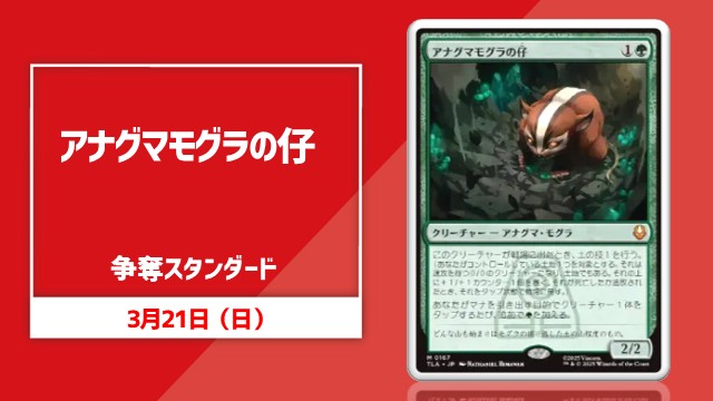 【JP】《Badgermole Cub》Standard Competition in Kawasaki