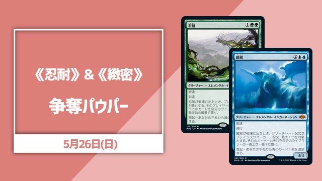 《忍耐》＆《緻密》争奪パウパー