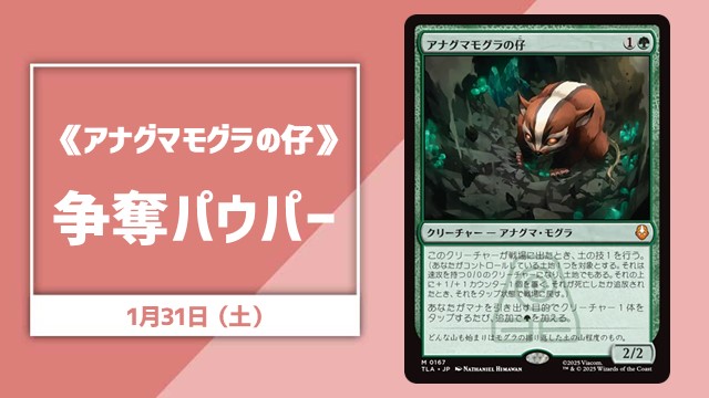 《アナグマモグラの仔》争奪パウパー