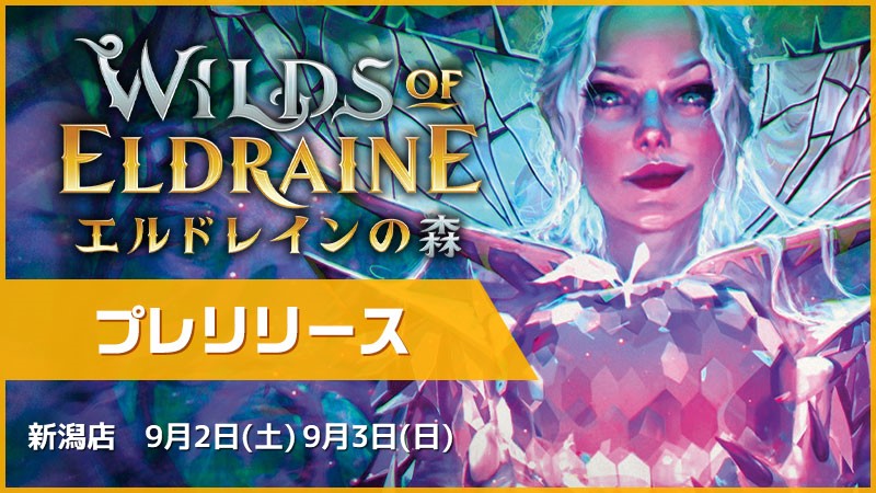 『エルドレインの森』：プレリリース[予約可]