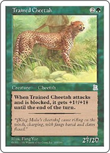 《訓練された豹/Trained Cheetah》[PTK] 緑U