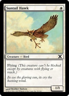 《陽光尾の鷹/Suntail Hawk》[10ED] 白C