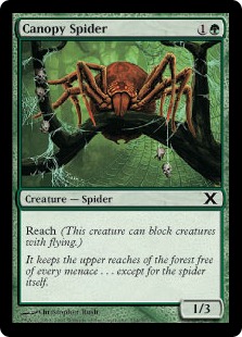 【Foil】《梢の蜘蛛/Canopy Spider》[10ED] 緑C