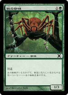 【Foil】《梢の蜘蛛/Canopy Spider》[10ED] 緑C
