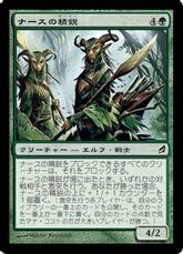 【Foil】《ナースの精鋭/Nath's Elite》[LRW] 緑C