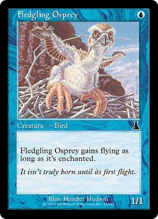 《巣立つミサゴ/Fledgling Osprey》[UDS] 青C