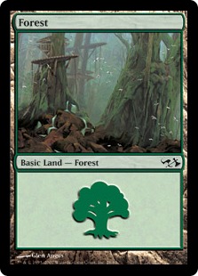 (028)《森/Forest》[EVG] 土地