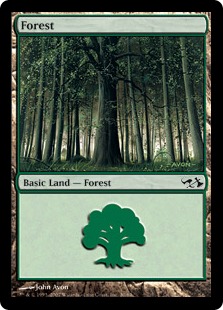(030)《森/Forest》[EVG] 土地