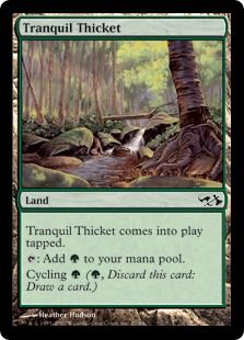 《平穏な茂み/Tranquil Thicket》[EVG] 土地C