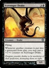 【Foil】《ゴミあさりのドレイク/Scavenger Drake》[ALA] 黒U