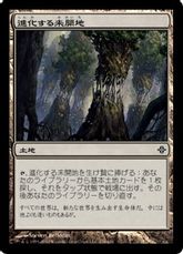 【Foil】《進化する未開地/Evolving Wilds》[ROE] 土地C