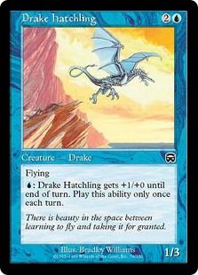 《ドレイクの雛/Drake Hatchling》[MMQ] 青C