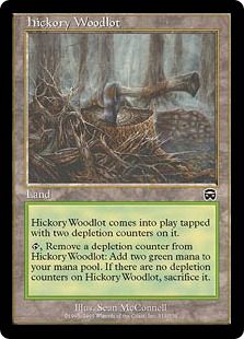 《ヒッコリーの植林地/Hickory Woodlot》[MMQ] 土地C