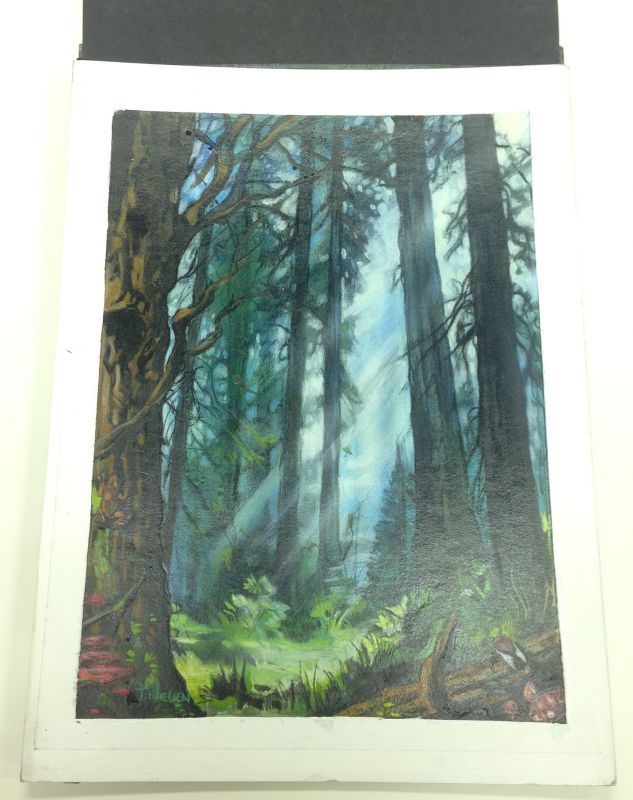 ★原画★　《森/Forest》（UGL） by Terese Nielsen