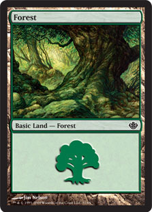 (031)《森/Forest》[GvL] 土地