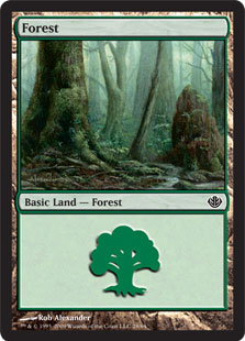 (028)《森/Forest》[GvL] 土地