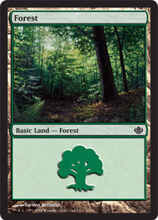 (030)《森/Forest》[GvL] 土地
