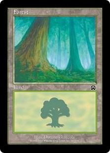 (347)《森/Forest》[MMQ] 土地
