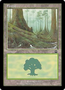(348)《森/Forest》[MMQ] 土地