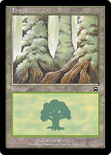 【Foil】(350)《森/Forest》[MMQ] 土地