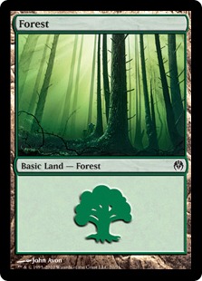 (070)《森/Forest》[PvC] 土地