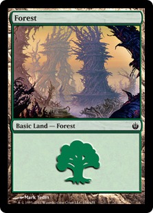 (154)《森/Forest》[MBS] 土地