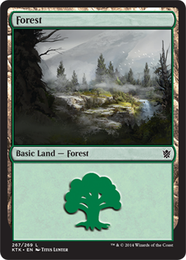(267)《森/Forest》[KTK] 土地