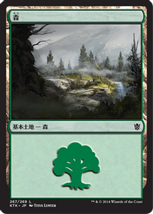 (267)《森/Forest》[KTK] 土地