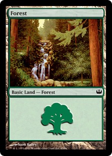 (043)《森/Forest》[KvD] 土地