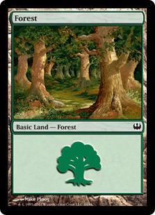 (044)《森/Forest》[KvD] 土地
