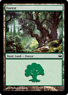 (046)《森/Forest》[KvD] 土地