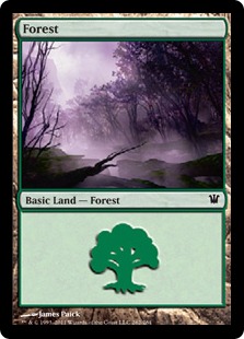 (262)《森/Forest》[ISD] 土地