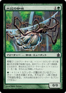 《水辺の蜘蛛/Aquastrand Spider》[CMD] 緑C