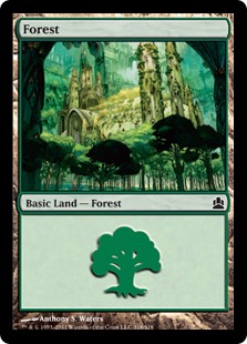 (318)《森/Forest》[CMD] 土地