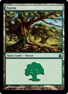 (315)《森/Forest》[CMD] 土地