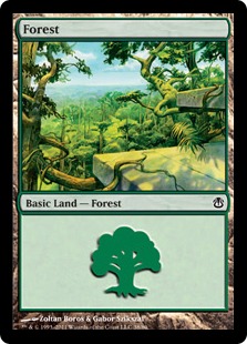 (038)《森/Forest》[AvN] 土地