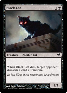 《黒猫/Black Cat》[DKA] 黒C