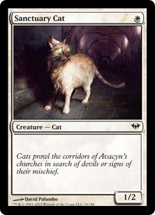 【Foil】《聖所の猫/Sanctuary Cat》[DKA] 白C