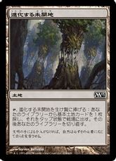 【Foil】《進化する未開地/Evolving Wilds》[M13] 土地C