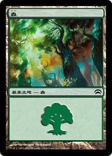(154)《森/Forest》[PC2] 土地