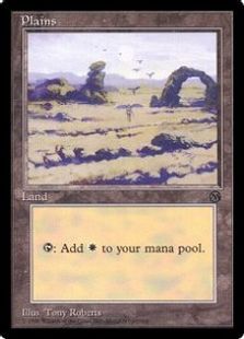 平地/Plains》[初代アリーナランド] 土地 | 日本最大級 MTG通販サイト 