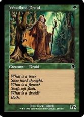 【Foil】《森林地帯のドルイド/Woodland Druid》[ODY] 緑C