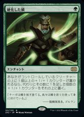 【Foil】(151)《硬化した鱗/Hardened Scales》[2X2] 緑R