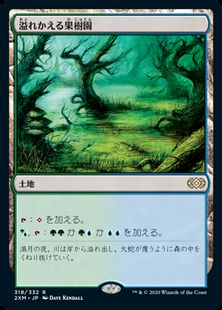 【Foil】(318)《溢れかえる果樹園/Flooded Grove》[2XM] 土地R