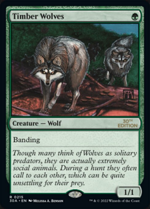 《森林狼/Timber Wolves》[30A] 緑R