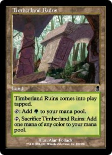 【Foil】《森林地の廃墟/Timberland Ruins》[ODY] 土地C